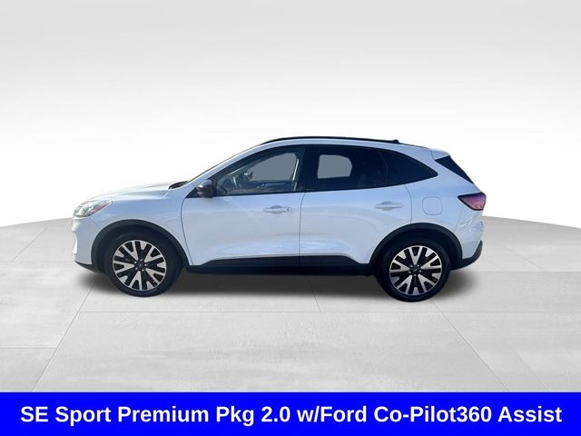 2020 Ford Escape Hybrid SE Sport