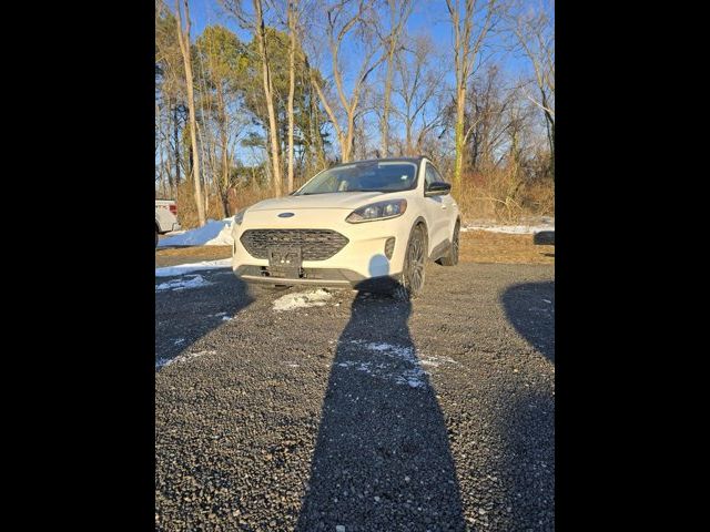 2020 Ford Escape Hybrid SE Sport