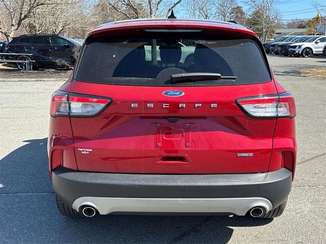 2020 Ford Escape Hybrid SE Sport