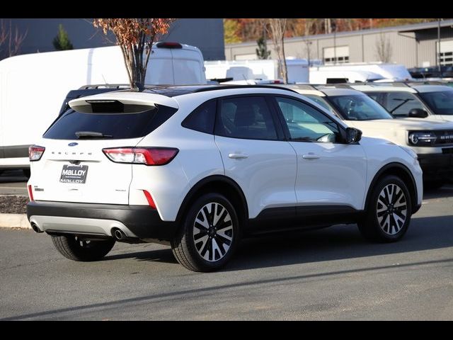 2020 Ford Escape Hybrid SE Sport