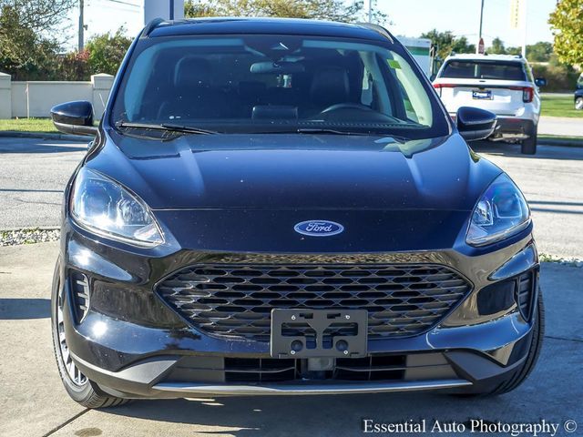 2020 Ford Escape Hybrid SE Sport