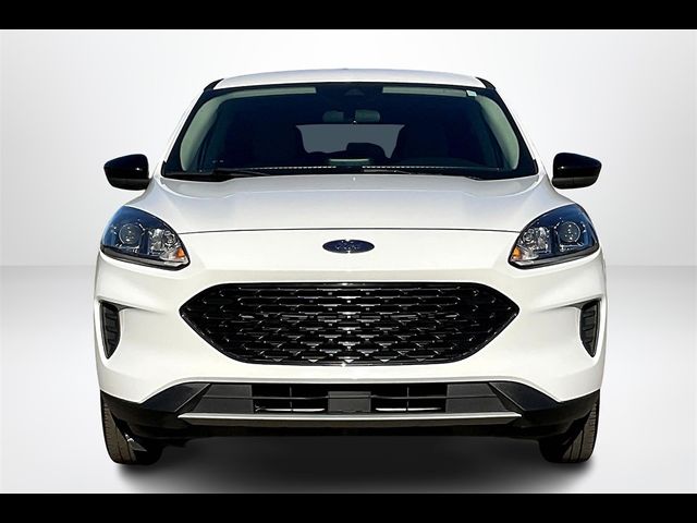 2020 Ford Escape Hybrid SE Sport