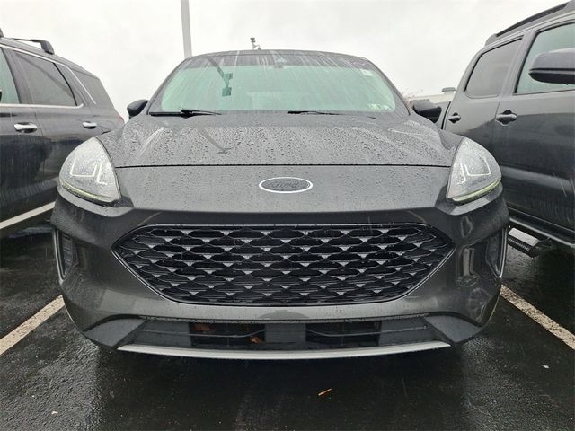 2020 Ford Escape Hybrid SE Sport