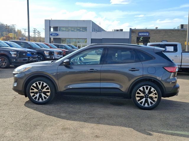 2020 Ford Escape Hybrid SE Sport