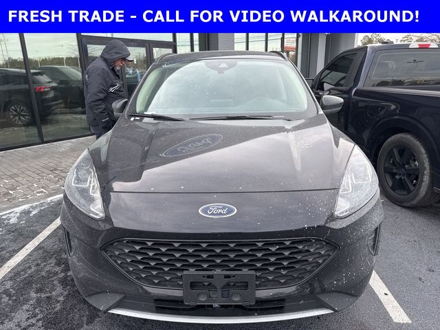 2020 Ford Escape Hybrid SE Sport