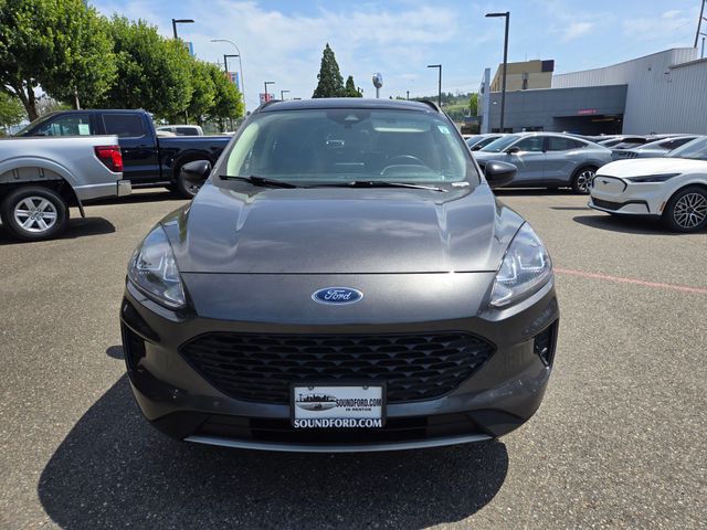 2020 Ford Escape Hybrid SE Sport