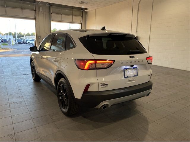 2020 Ford Escape Hybrid SE Sport