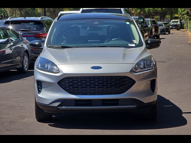2020 Ford Escape Hybrid SE Sport