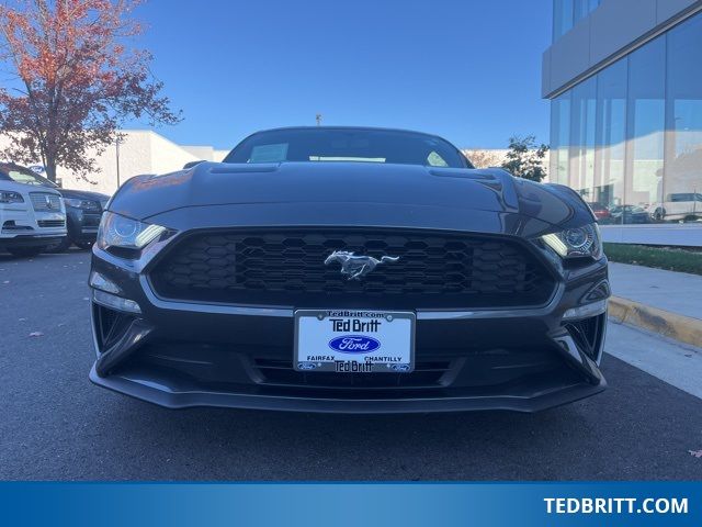 2020 Ford Mustang EcoBoost