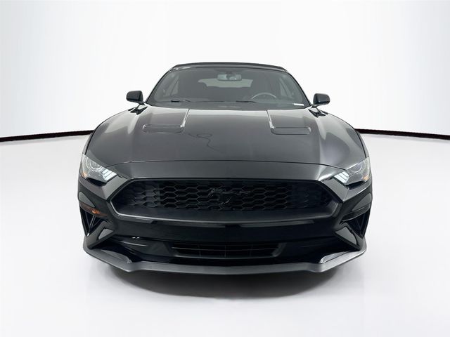 2020 Ford Mustang EcoBoost