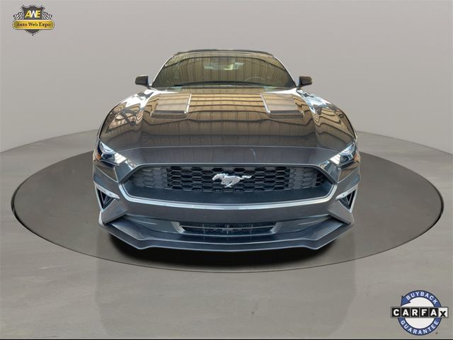 2020 Ford Mustang EcoBoost