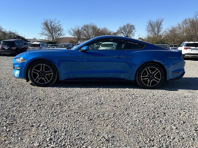 2020 Ford Mustang EcoBoost