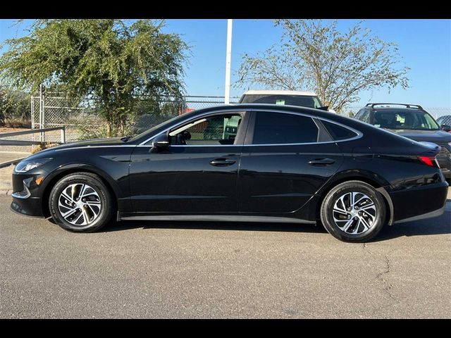 2020 Hyundai Sonata Hybrid Blue