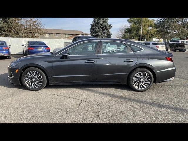 2020 Hyundai Sonata Hybrid SEL