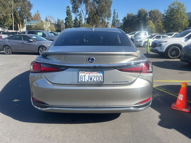 2020 Lexus ES 300h