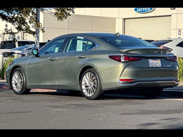 2020 Lexus ES 300h Luxury