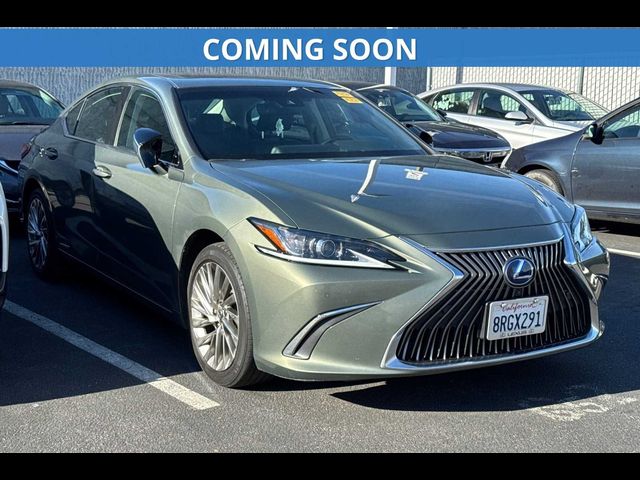 2020 Lexus ES 300h Luxury