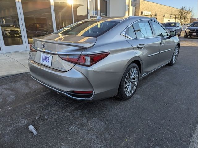 2020 Lexus ES 300h Luxury