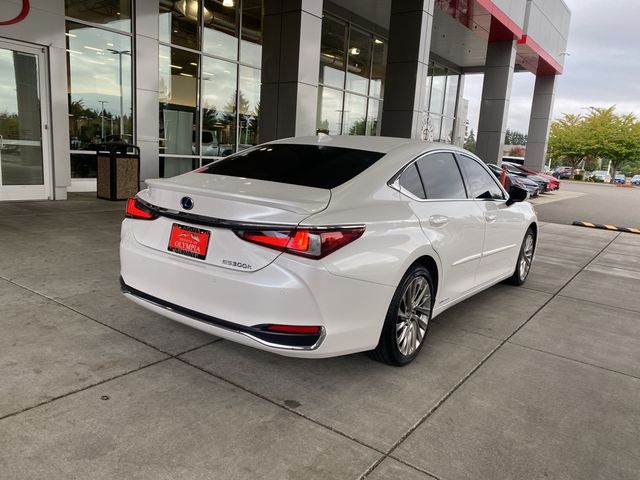 2020 Lexus ES 300h Luxury