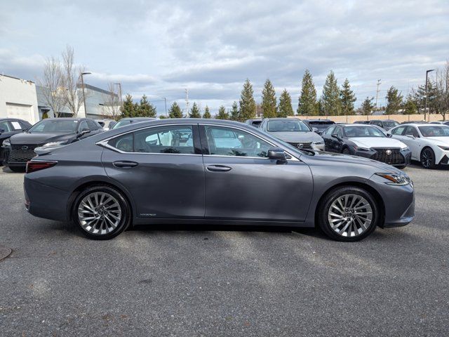 2020 Lexus ES 300h Luxury