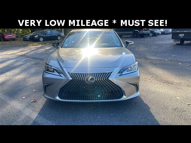 2020 Lexus ES 350