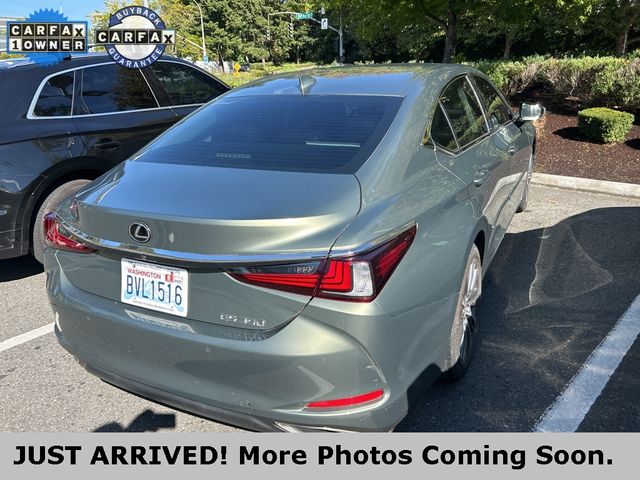 2020 Lexus ES 350
