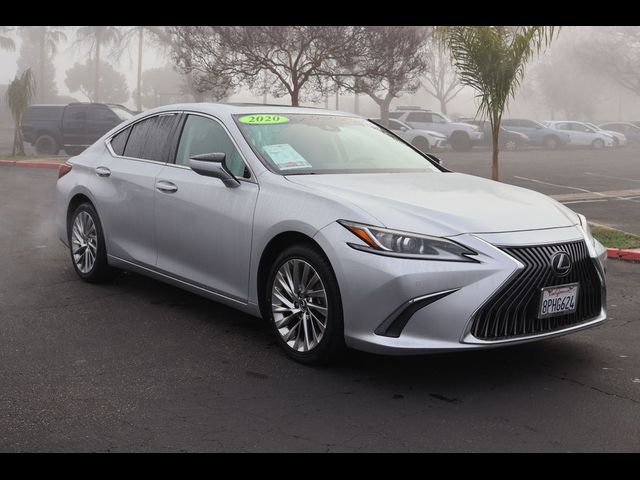 2020 Lexus ES 350 Luxury