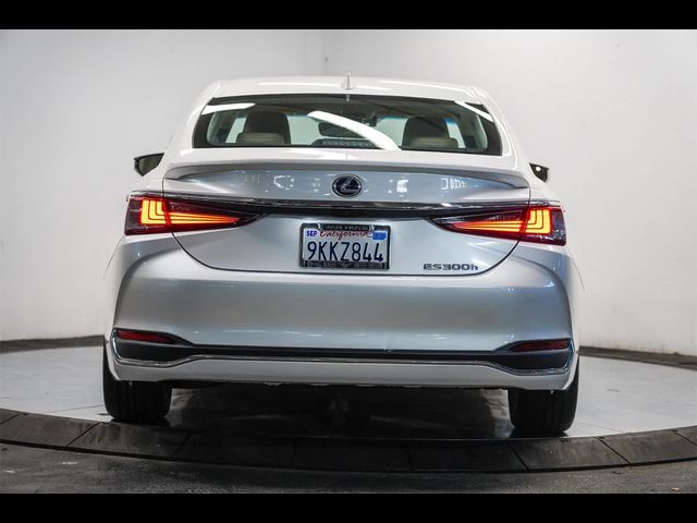 2020 Lexus ES 300h