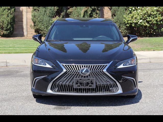 2020 Lexus ES 350