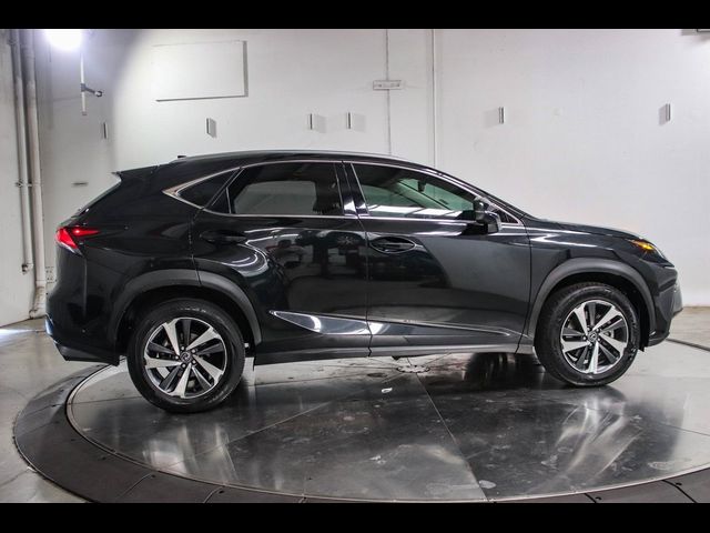 2020 Lexus NX 300