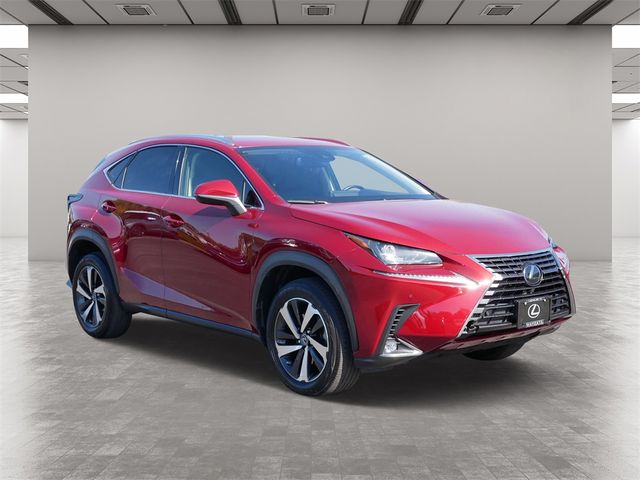 2020 Lexus NX 300