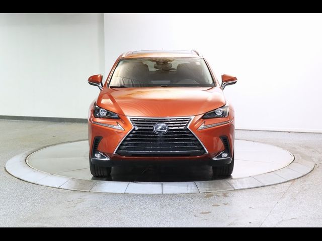 2020 Lexus NX 300
