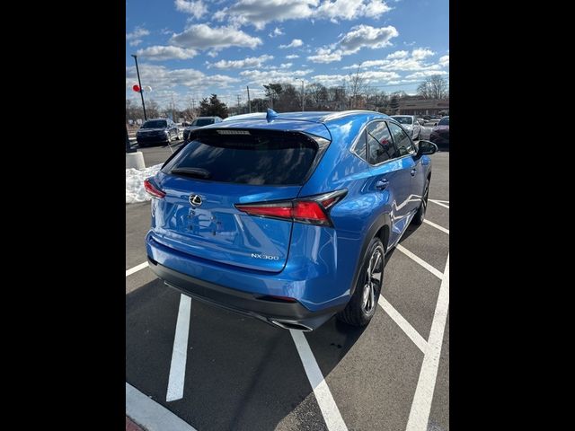 2020 Lexus NX 300