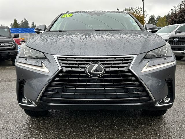 2020 Lexus NX 300 Luxury