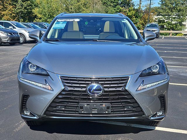 2020 Lexus NX 300h