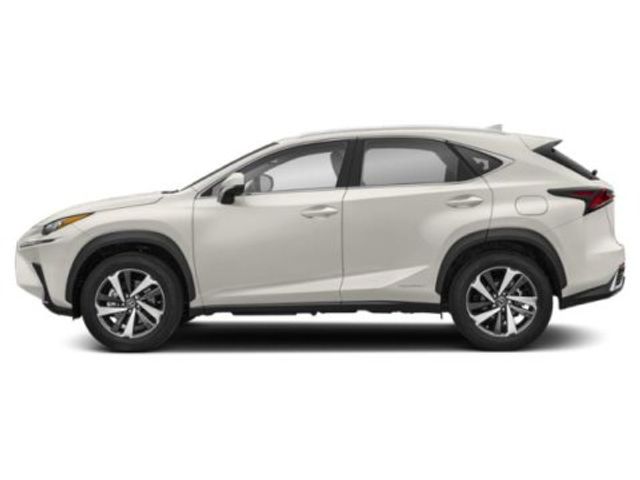 2020 Lexus NX 300h