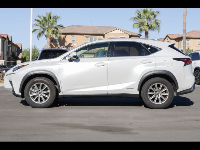 2020 Lexus NX 300h