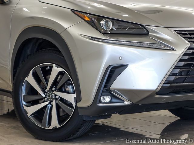 2020 Lexus NX 300h