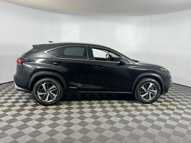 2020 Lexus NX 300h