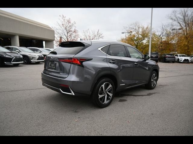 2020 Lexus NX 300h