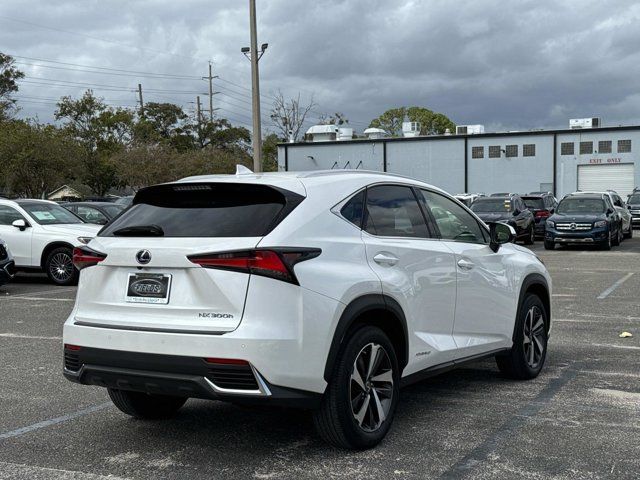 2020 Lexus NX 300h