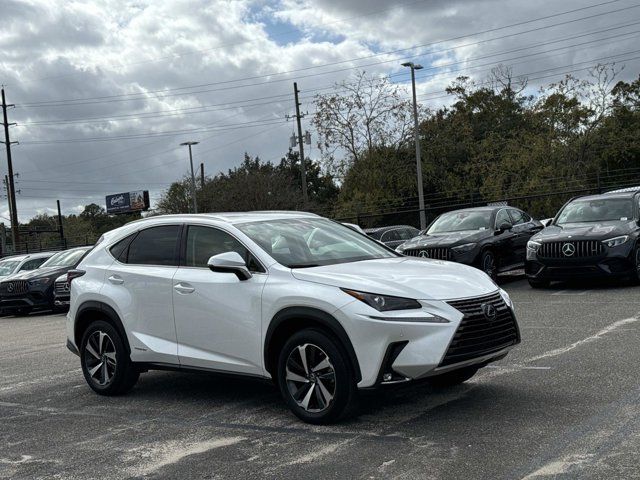 2020 Lexus NX 300h