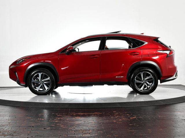 2020 Lexus NX 300h