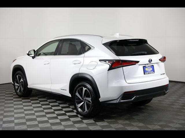 2020 Lexus NX 300h