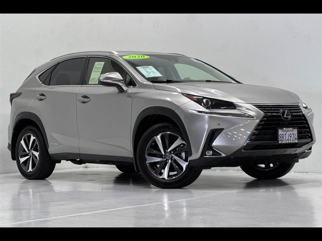 2020 Lexus NX 300h