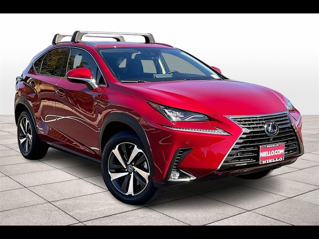 2020 Lexus NX 300h