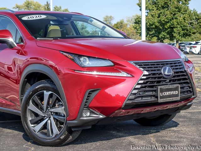 2020 Lexus NX 300h