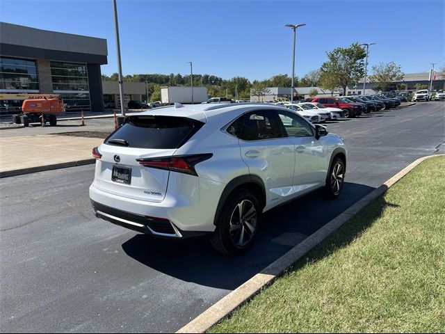 2020 Lexus NX 300h