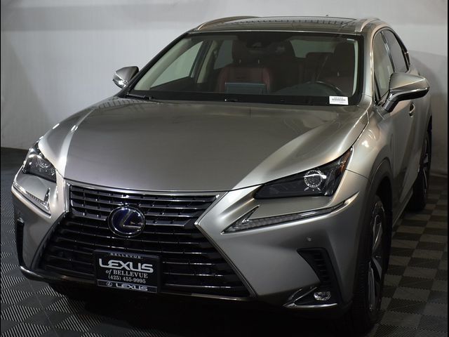 2020 Lexus NX 300h