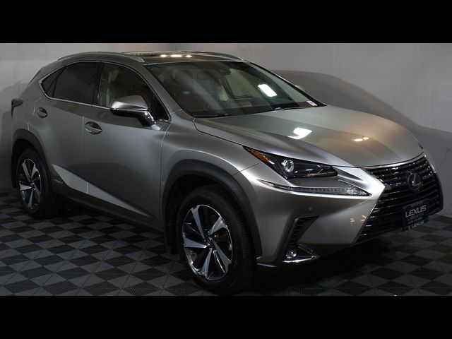 2020 Lexus NX 300h